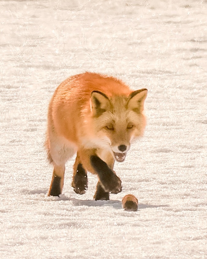 画像が表示されませんでした
