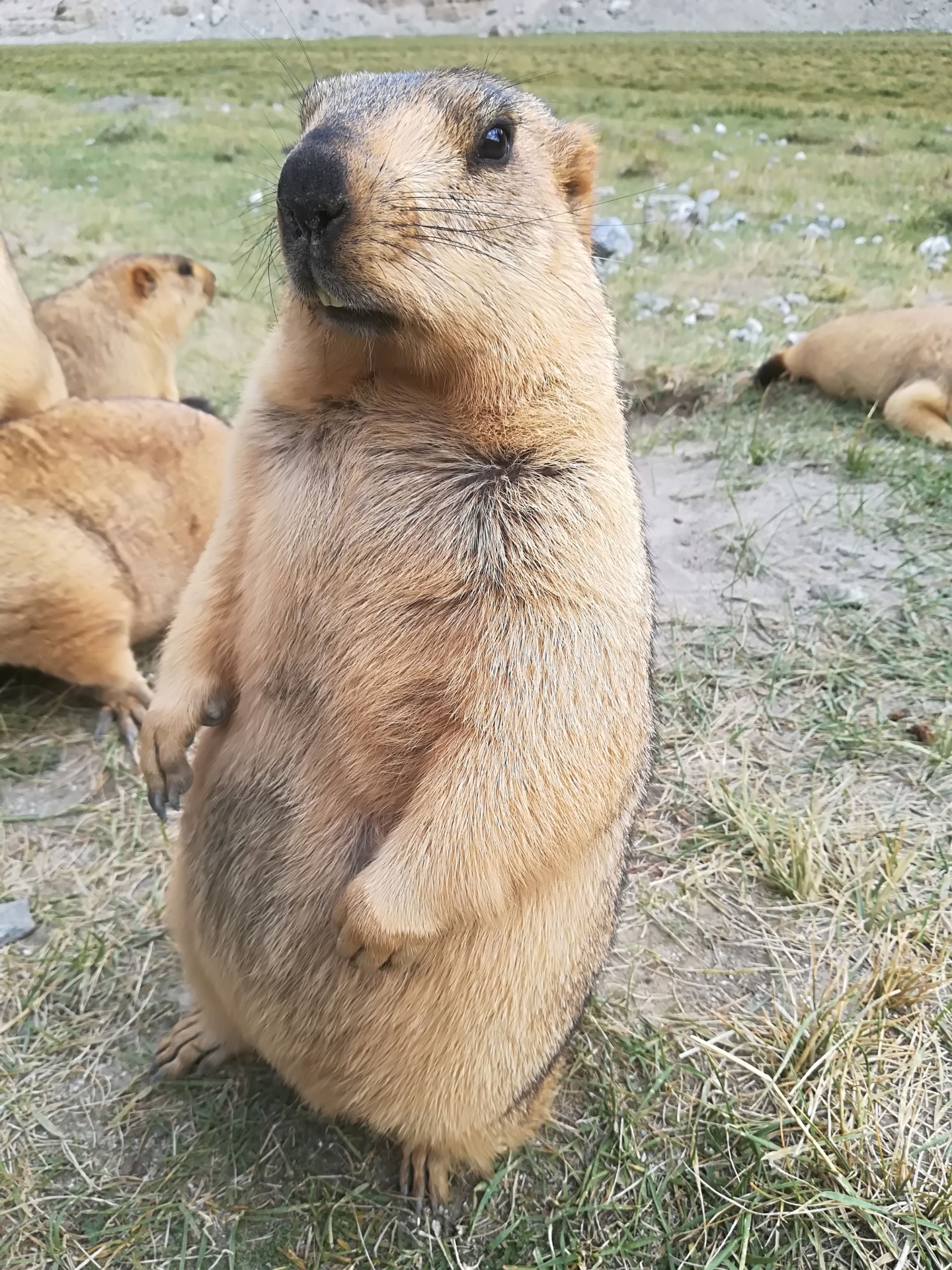 画像が表示されませんでした