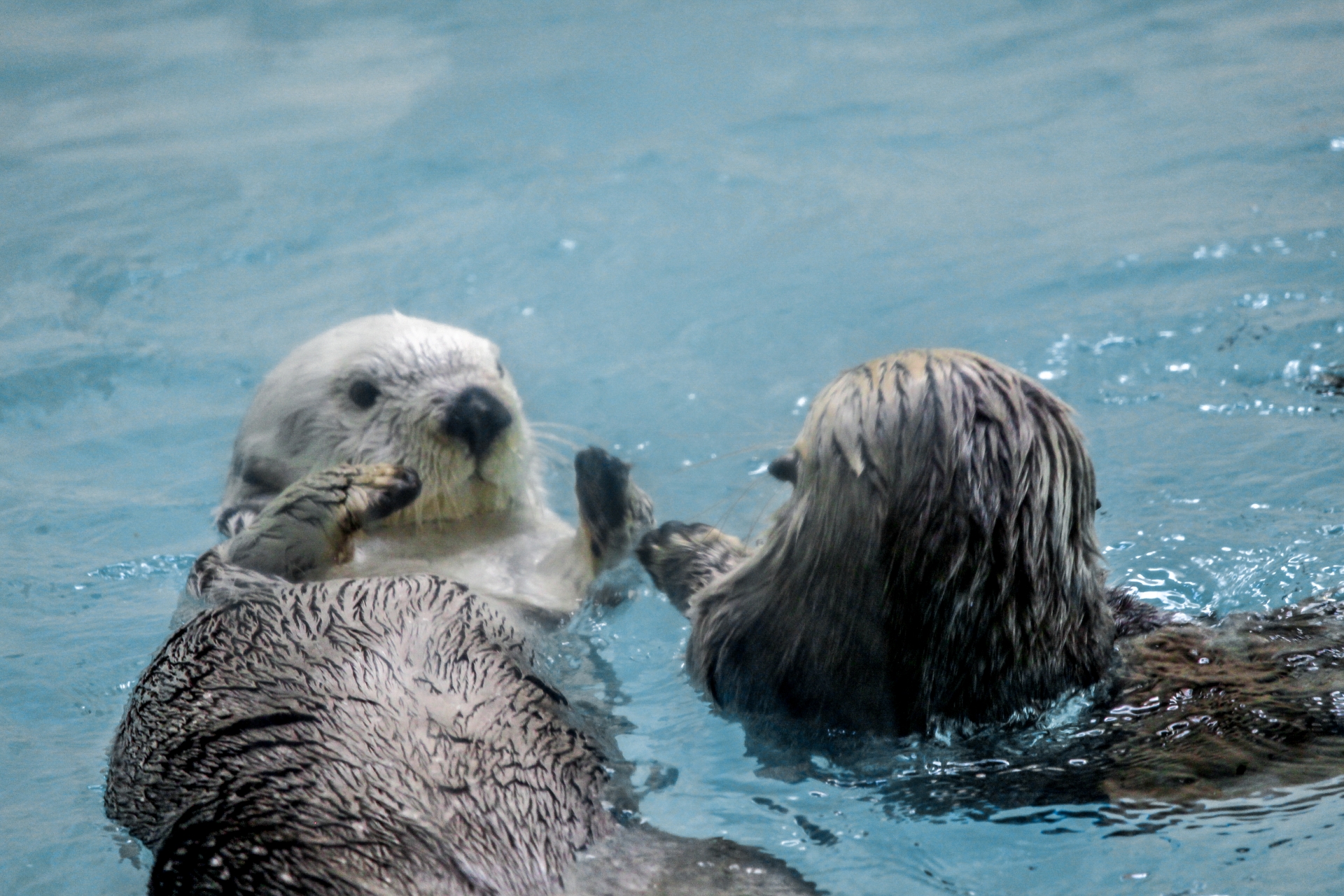 画像が表示されませんでした