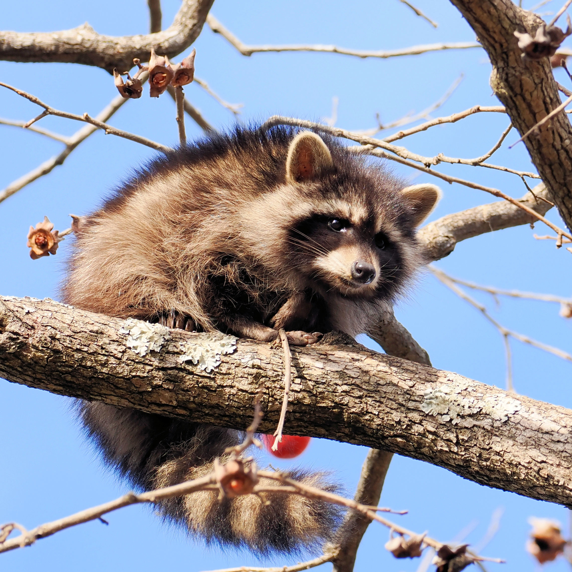 画像が表示されませんでした